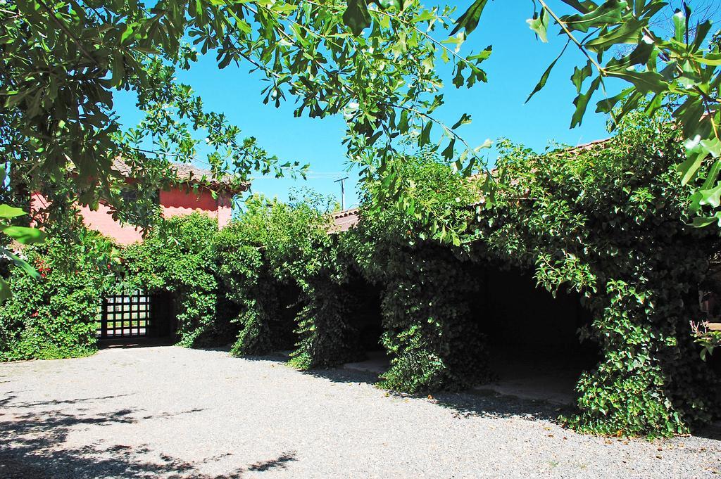 Bed and Breakfast Entre Vinas à Santa Cruz Extérieur photo